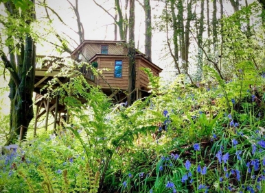 The Treehouse