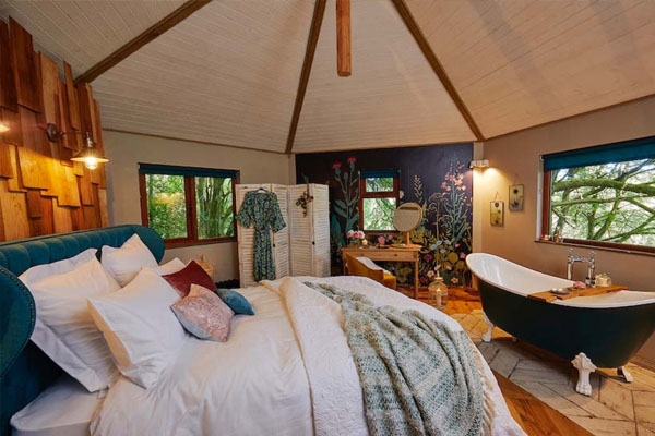 The Treehouse